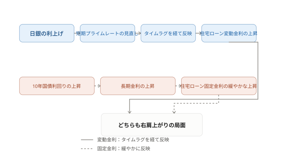 変動金利は日銀の利上げからタイムラグを経て、固定金利は長期金利の上昇から緩やかに反映され、両者とも上昇局面にあることを示すフロー図